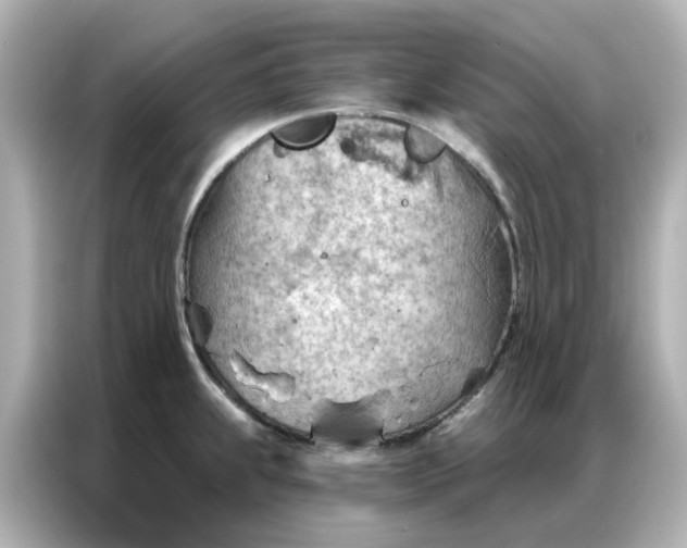 X0000086981239200704301311