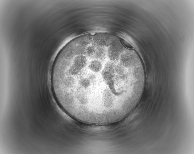 X0000086981243200704301311