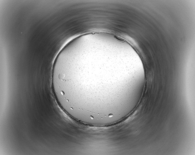 X0000086981244200704301311