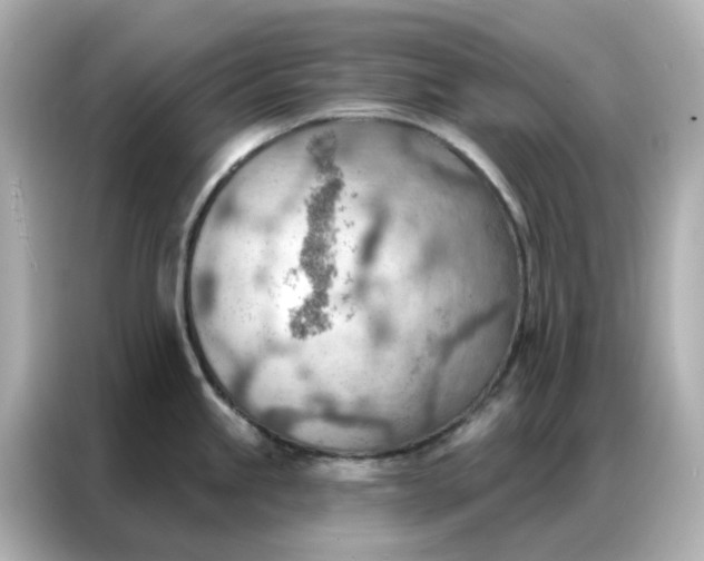 X0000086981245200704301311