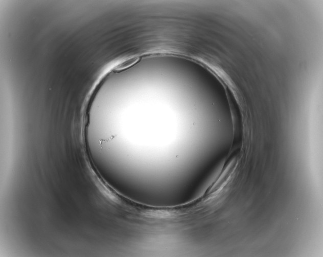 X0000086981246200704301311