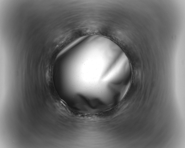 X0000086981250200704301310