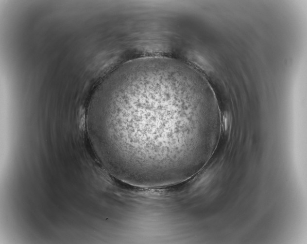 X0000086981251200704301310