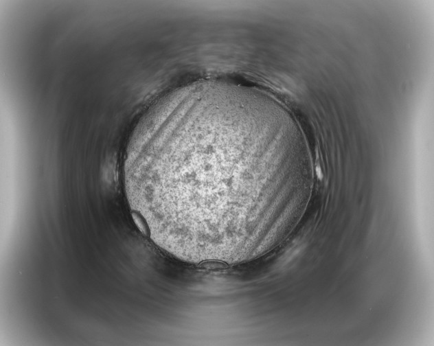 X0000086981252200704301310