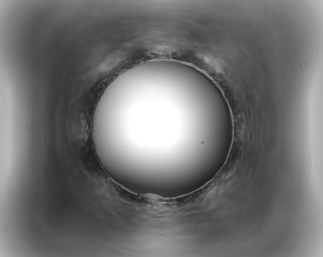 X0000086981253200704301310