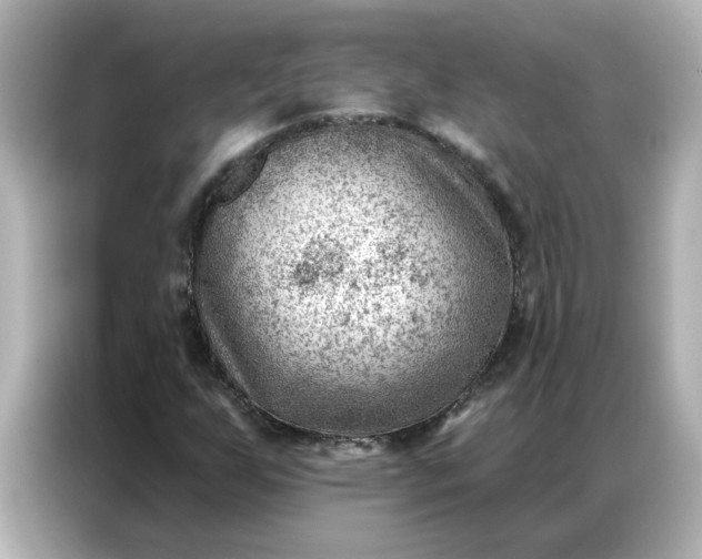 X0000086981255200704301310