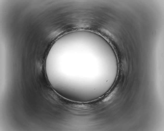 X0000086981257200704301310