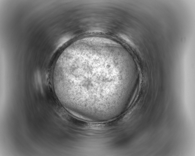 X0000086981258200704301310