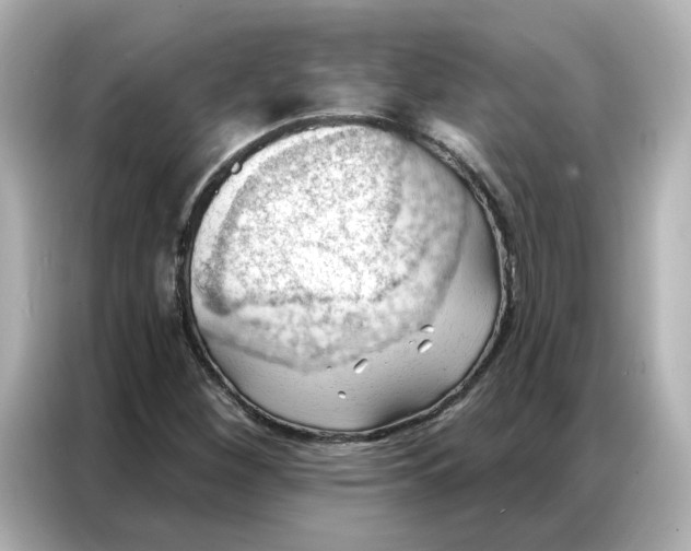 X0000086981260200704301310