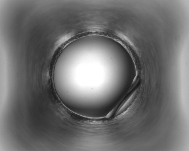 X0000086981261200704301310