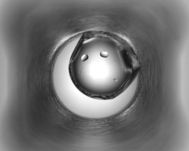 X0000086981263200704301310