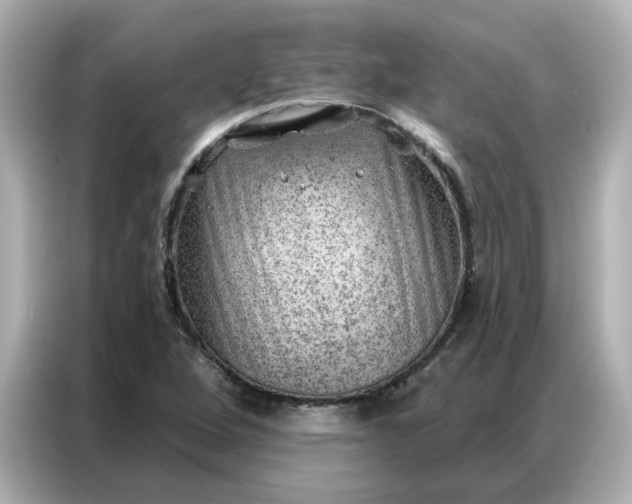 X0000086981264200704301310