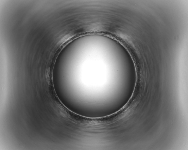 X0000086981265200704301310