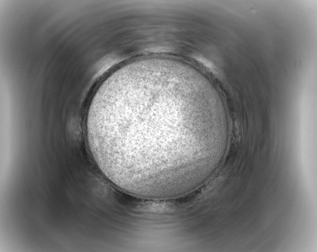 X0000086981266200704301310