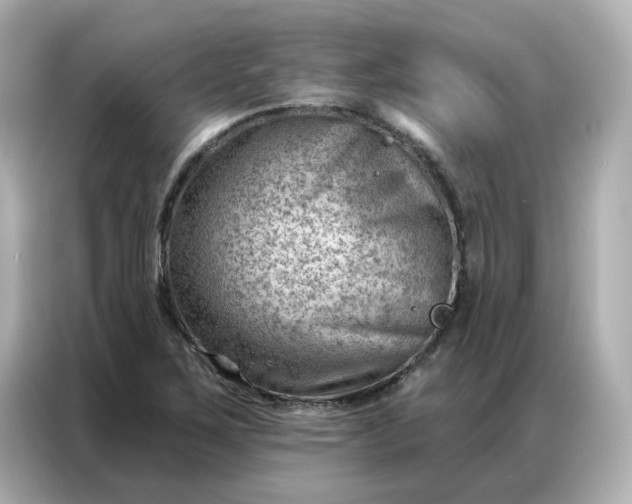 X0000086981267200704301310