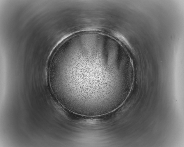 X0000086981268200704301310