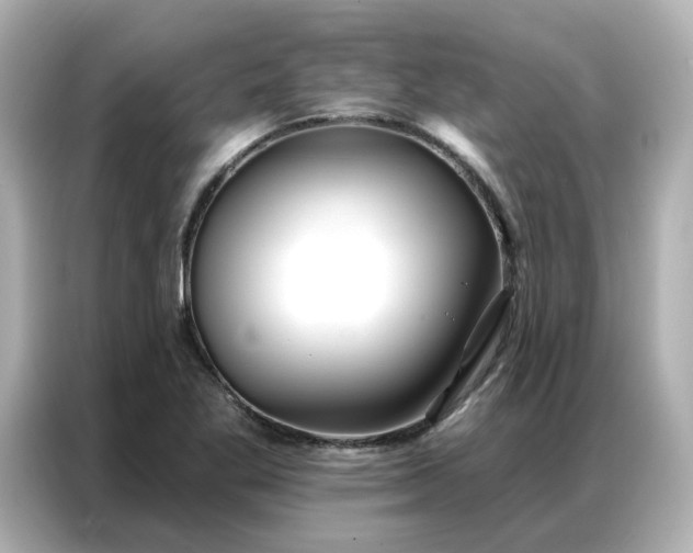 X0000086981269200704301310