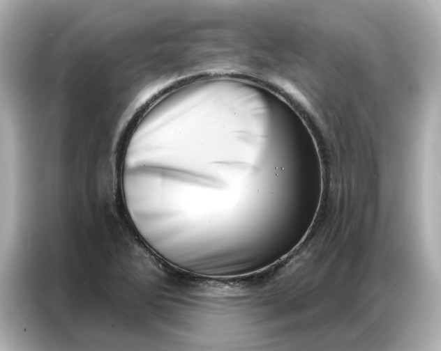 X0000086981270200704301310