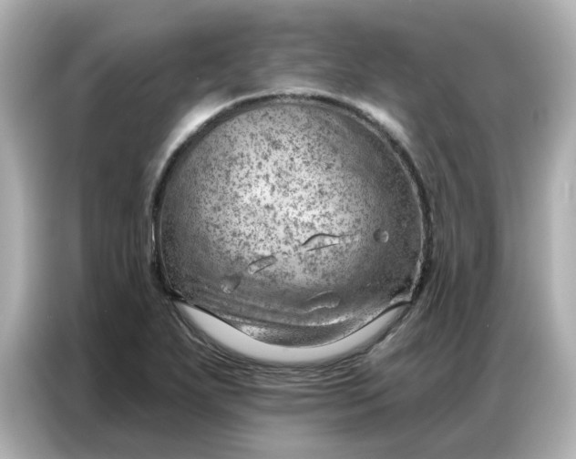 X0000086981271200704301310