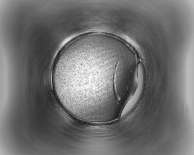 X0000086981272200704301310