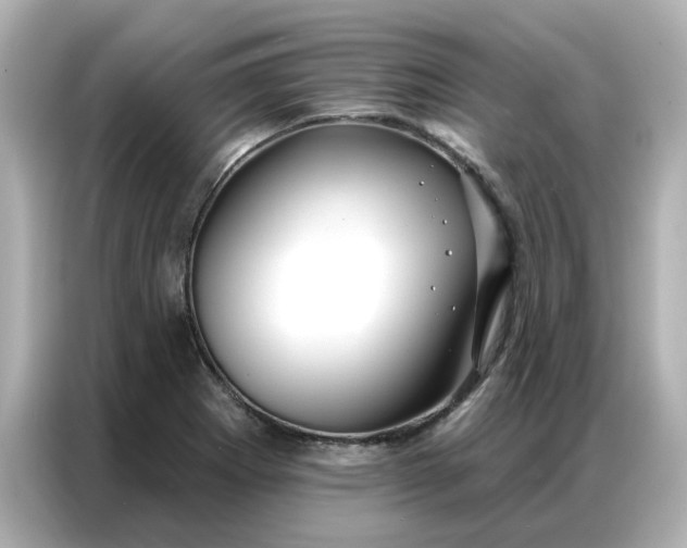 X0000086981273200704301310