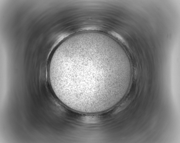 X0000086981274200704301310