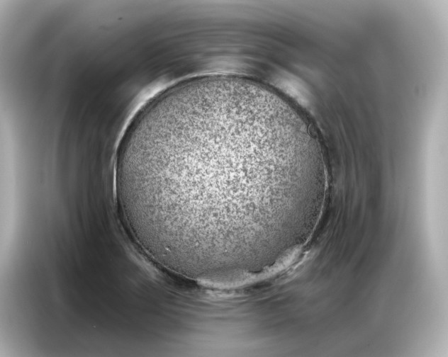 X0000086981275200704301310