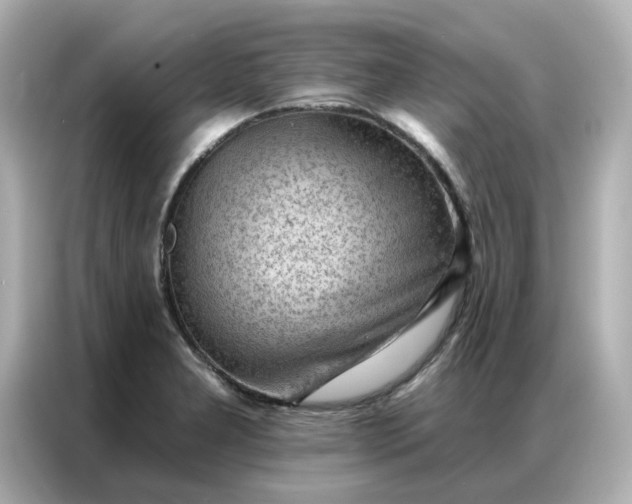 X0000086981277200704301310