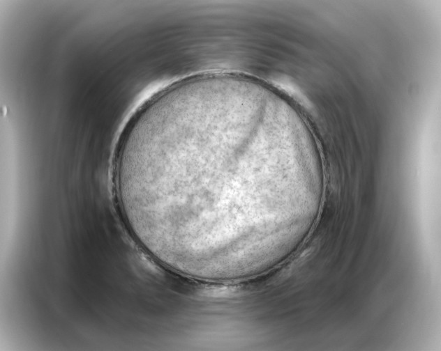 X0000086981278200704301310