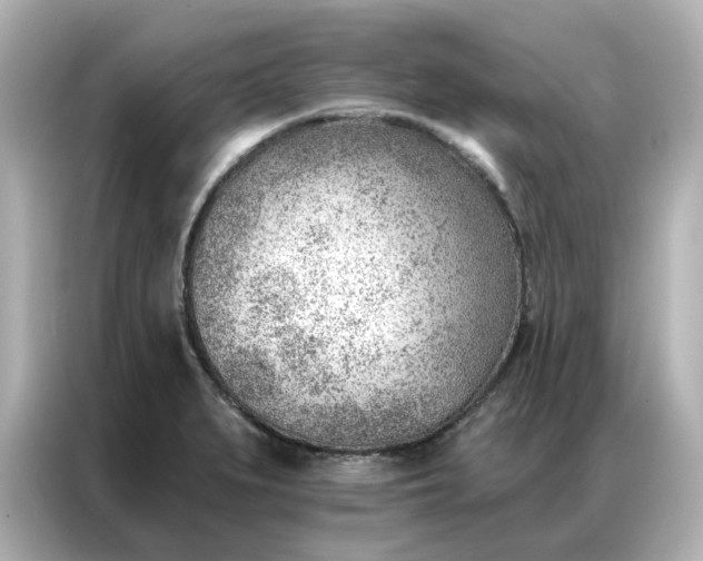 X0000086981279200704301310