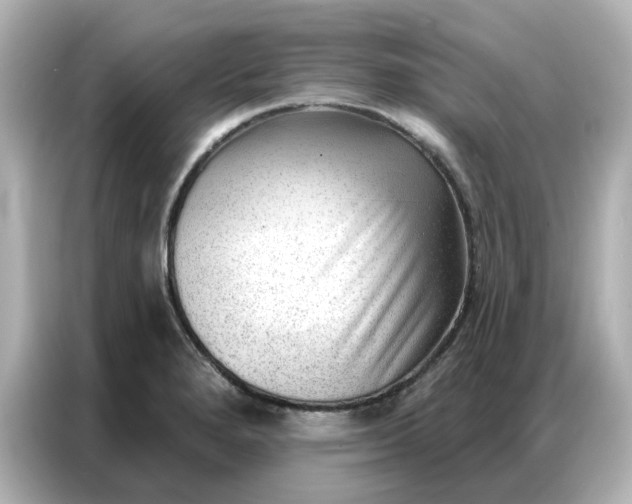 X0000086981280200704301310