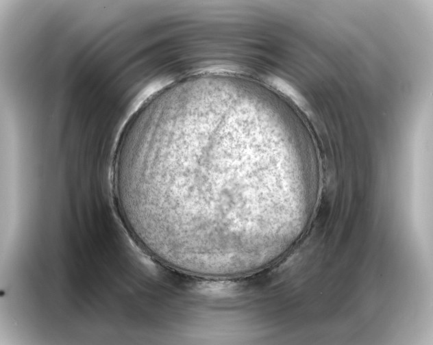 X0000086981282200704301310