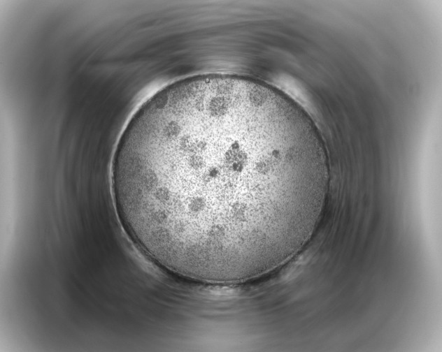 X0000086981283200704301310