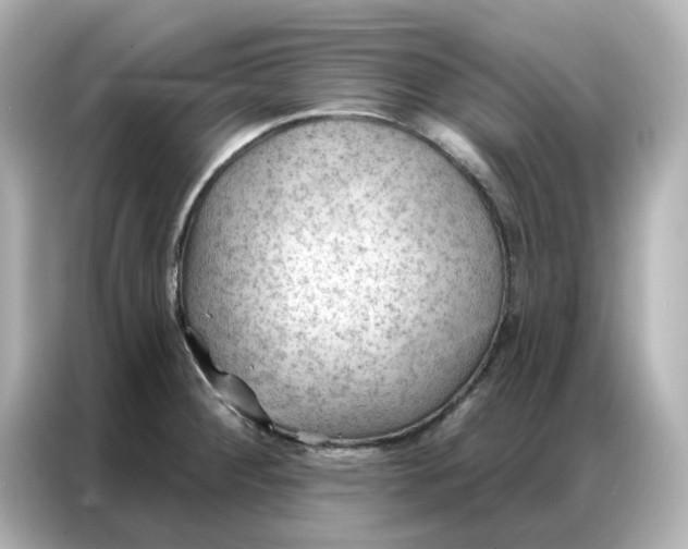 X0000086981284200704301310