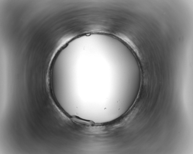 X0000086981285200704301310