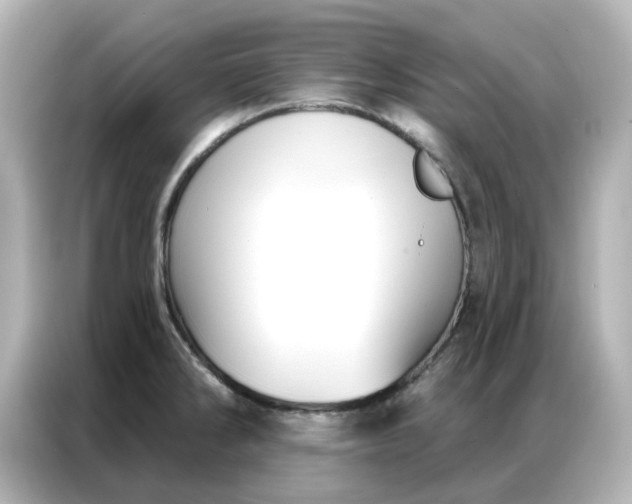 X0000086981286200704301310