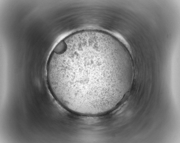 X0000086981287200704301310