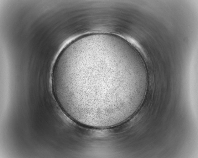 X0000086981288200704301310