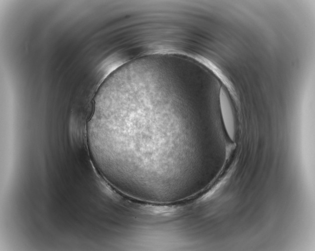 X0000086981289200704301310