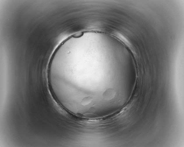 X0000086981291200704301310