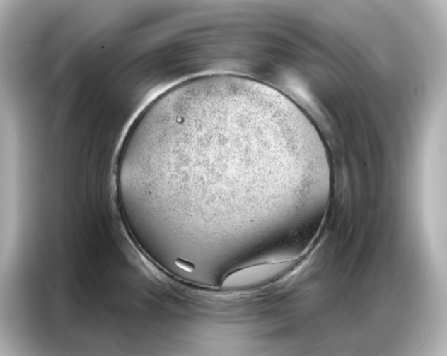 X0000086981292200704301310