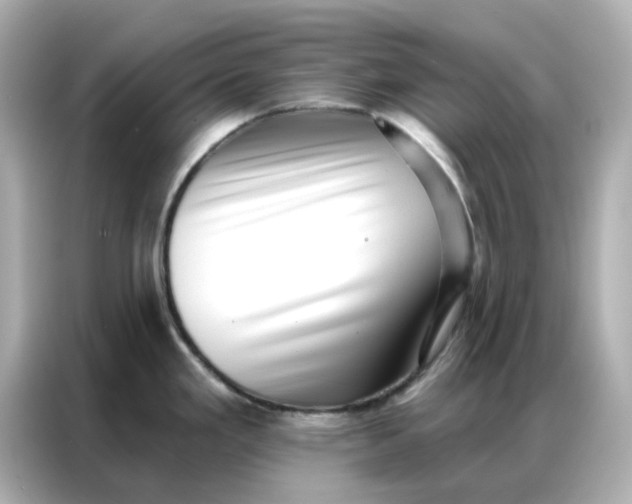 X0000086981293200704301310