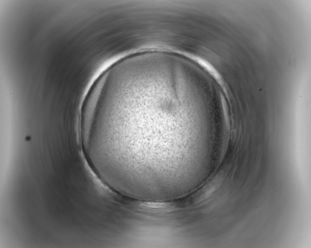 X0000086981295200704301310