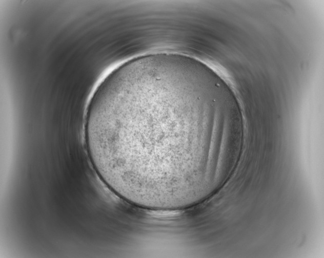 X0000086981296200704301310