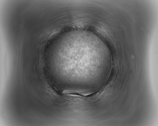 X0000086981297200704301309