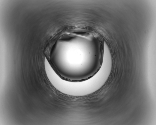 X0000086981298200704301309