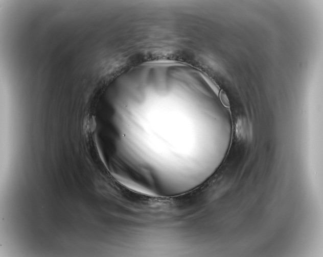 X0000086981299200704301309