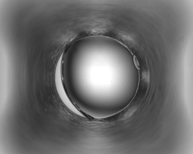 X0000086981300200704301309