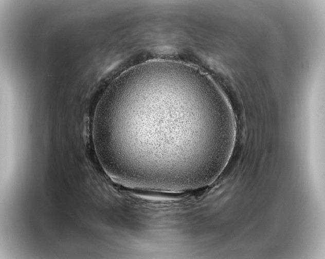 X0000086981301200704301309