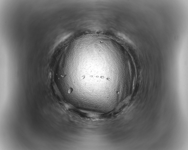 X0000086981302200704301309